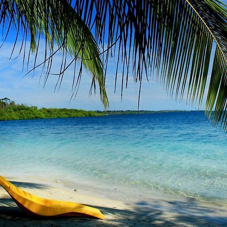 Coconut Hostel Bocas Town Экстерьер фото