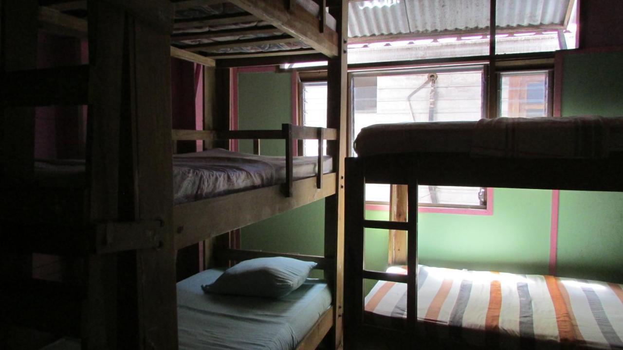 Coconut Hostel Bocas Town Экстерьер фото