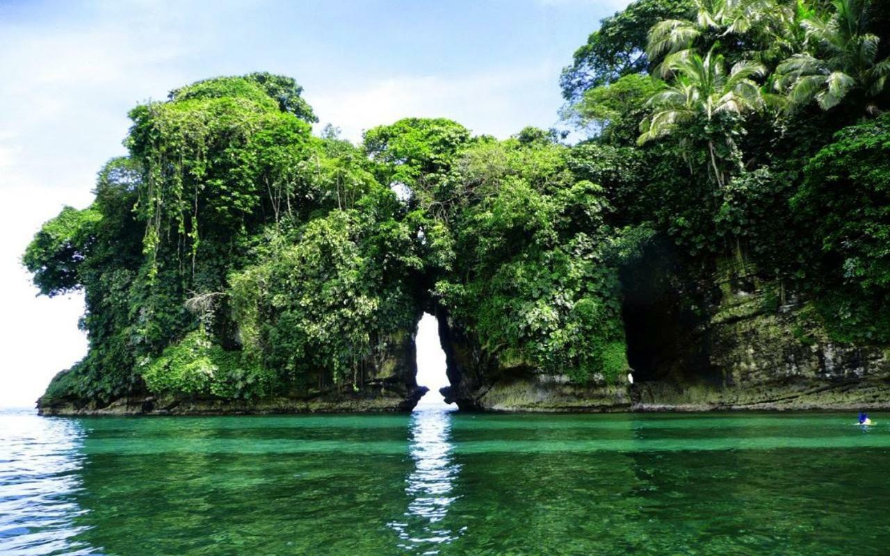 Coconut Hostel Bocas Town Экстерьер фото