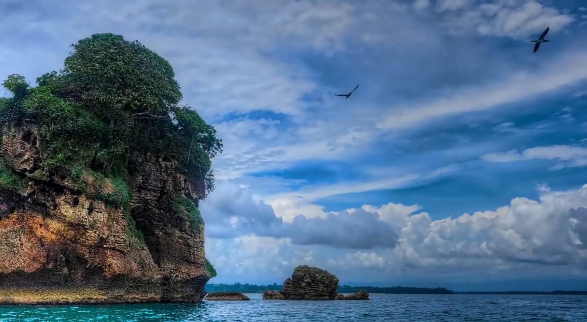 Coconut Hostel Bocas Town Экстерьер фото