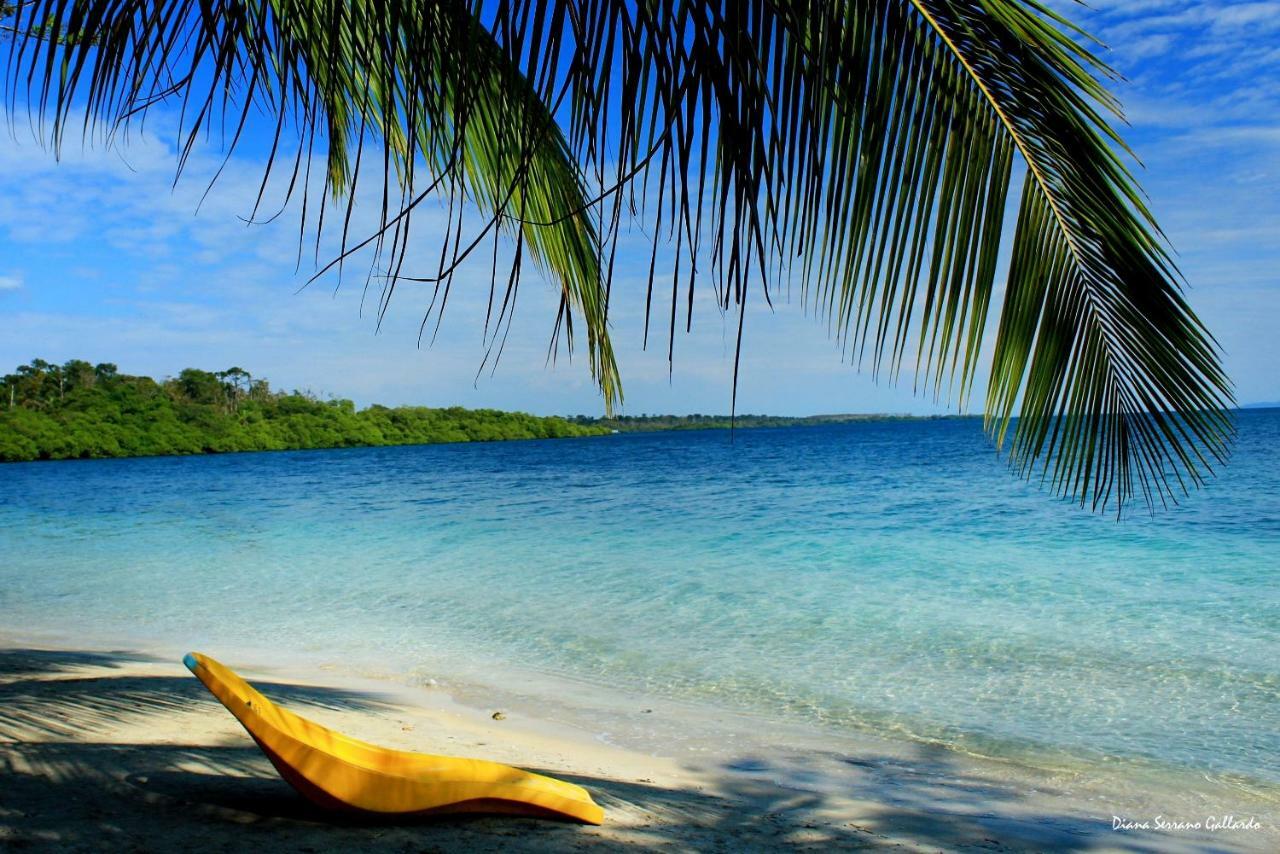 Coconut Hostel Bocas Town Экстерьер фото